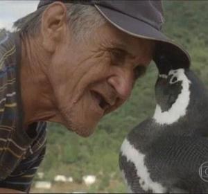 Joao y su amigo pingüino Joao y su amigo pingüino