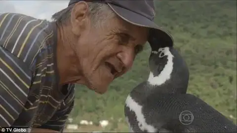 Joao y su amigo pingüino Joao y su amigo pingüino