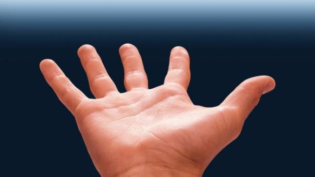 Sentidos extremos del mundo animal: el tacto Sentidos extremos del mundo animal: el tacto