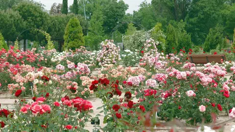 jardín Botánico de la Univ. Alcalá de Henares jardín Botánico de la Univ. Alcalá de Henares