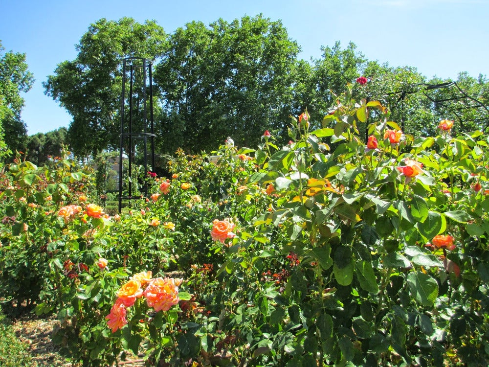 Alcalá de Henares en la onda 18/05/2018 Alcalá de Henares en la onda 18/05/2018