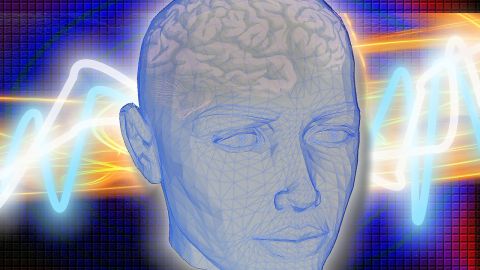 Neuropsiquiatr&iacute;a
