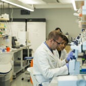 Científicos trabajando en un laboratorio