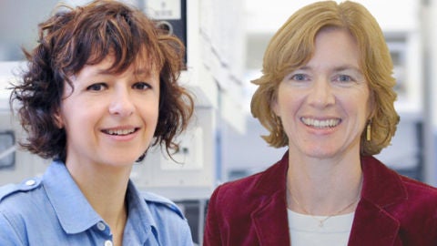 Emmanuelle Charpentier y Jennifer Doudna