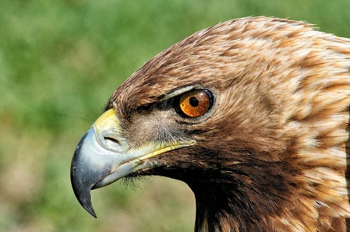 Alcalá de Henares en la onda 12/07/2018 Alcalá de Henares en la onda 12/07/2018