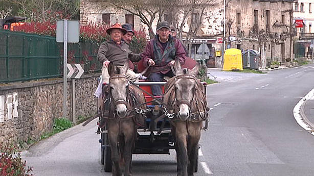 Mesa de redacción:Cuatro jubilados se van de Euskadi hasta El Rocío a bordo de un carro tirado con mulas Mesa de redacción:Cuatro jubilados se van de Euskadi hasta El Rocío a bordo de un carro tirado con mulas