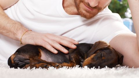 Perro y hombre echados en el suelo
