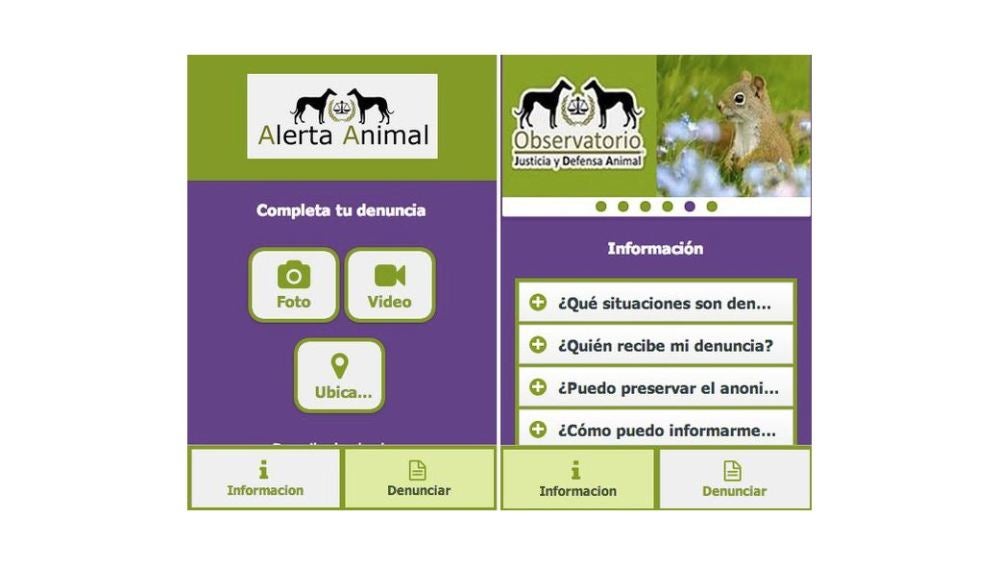 'Alerta Animal', la primera 'app' para denunciar casos de maltrato animal  en España 