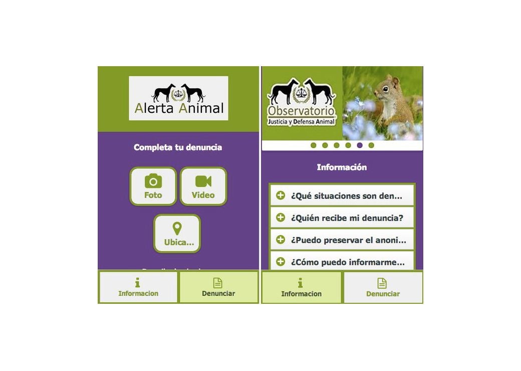 "Alerta Animal" una App para denunciar maltrato | CPG A3P | 19/02/17 Mascoteros Mascoteros "Alerta Animal" una App para denunciar maltrato | CPG A3P | 19/02/17 Mascoteros Mascoteros