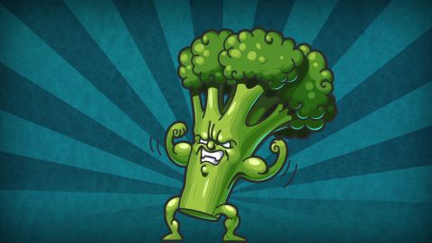 &iquest;Es el br&oacute;coli tan bueno para la salud como lo pintan?