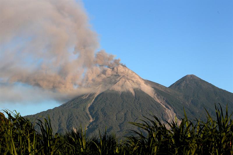 <p>Muere en Estados Unidos una niña lesionada por el volcán de Fuego de Guatemala</p> <p>Muere en Estados Unidos una niña lesionada por el volcán de Fuego de Guatemala</p>