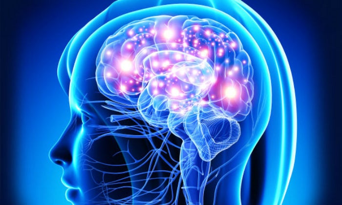 Eureka: Los efectos de la mentira en el cerebro Eureka: Los efectos de la mentira en el cerebro