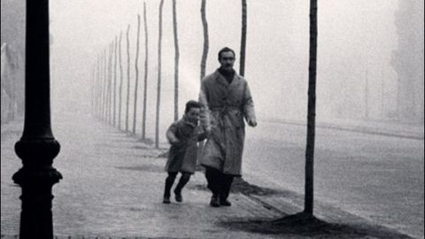 La sombra del viento