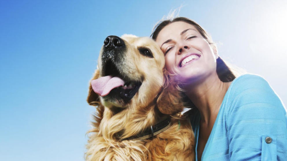 Zoe, Haku, Canela, Bruma y Samba perdidos por España Zoe, Haku, Canela, Bruma y Samba perdidos por España