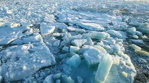 Cambio climático Cambio climático