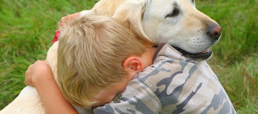 Un niño abraza a su perro Un niño abraza a su perro