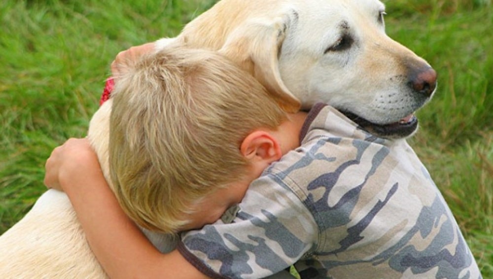 Un niño abraza a su perro 