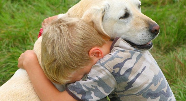 ¿Cómo convivir con un perro que muerde y niños? ¿Cómo convivir con un perro que muerde y niños?