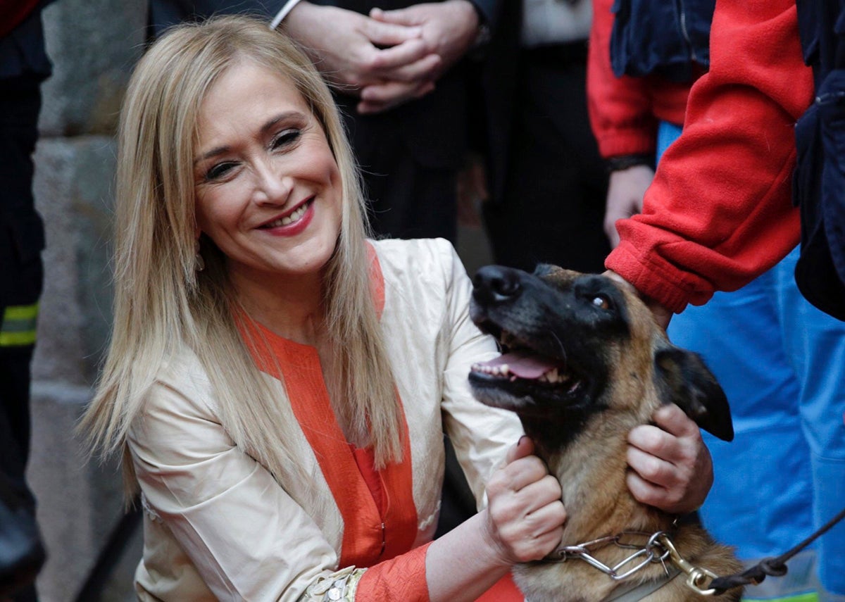 La Ley de Protección de Animales de Compañía de la Comunidad de Madrid examinada por un etólogo La Ley de Protección de Animales de Compañía de la Comunidad de Madrid examinada por un etólogo