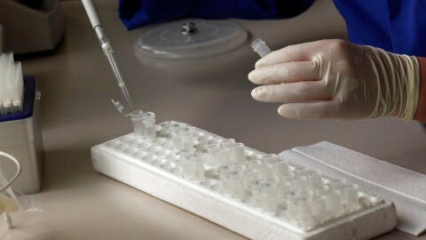 Investigaci&oacute;n con embriones