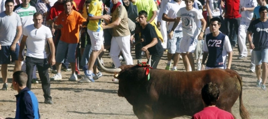 Participantes en el encierro del torneo del Toro de la Vega en 2014 Participantes en el encierro del torneo del Toro de la Vega en 2014