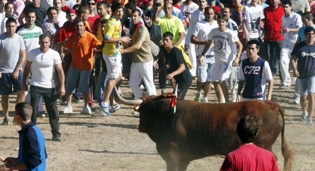 El consejero de Presidencia de Castilla y León: "El ayuntamiento de Tordesillas tendrá que cumplir la ley" El consejero de Presidencia de Castilla y León: "El ayuntamiento de Tordesillas tendrá que cumplir la ley"