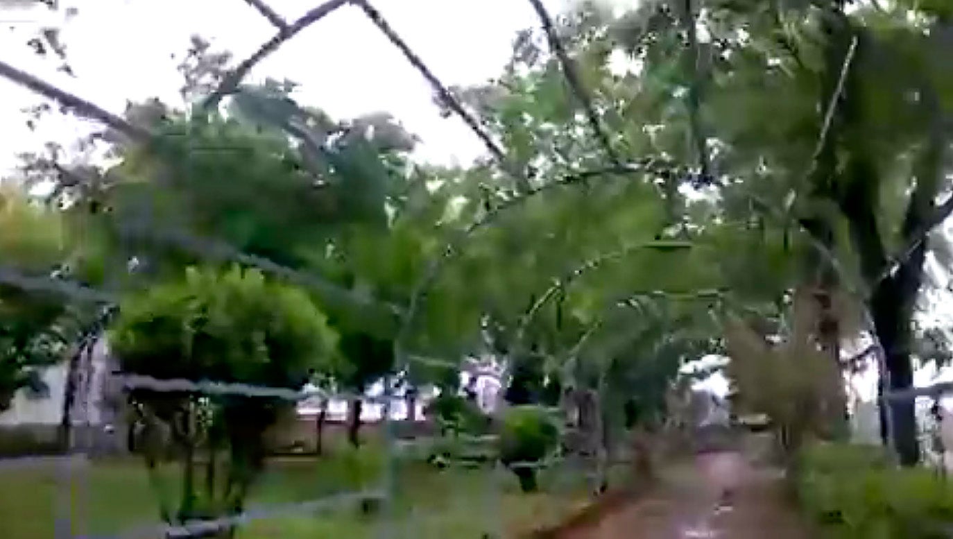 Paseando por mi pueblo y escuchando el programa Paseando por mi pueblo y escuchando el programa