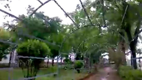 Paseo