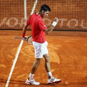 Djokovic celebra el pase a la final