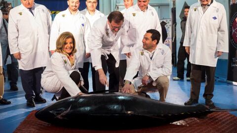 Mariano Rajoy durante la visita a una empresa multinacional en M&aacute;laga