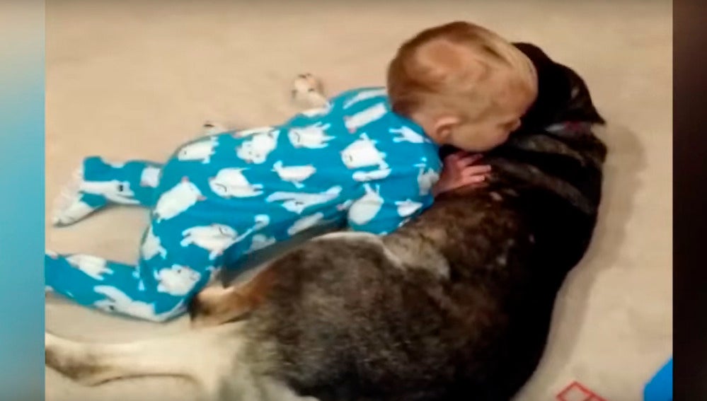 Este bebé se cae de sueño encima de su perro.