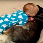 Este bebé se cae de sueño encima de su perro.