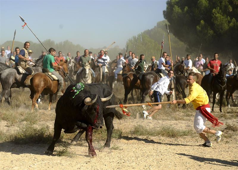 El Ayuntamiento de Tordesillas registra la solicitud para celebrar el Toro de la Vega El Ayuntamiento de Tordesillas registra la solicitud para celebrar el Toro de la Vega