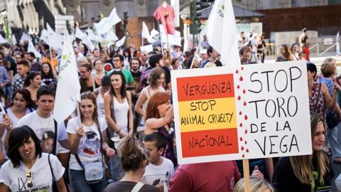 Participantes en una concentraci&oacute;n contra la fiesta del Toro de la Vega