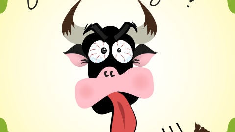 Toro de la Vega