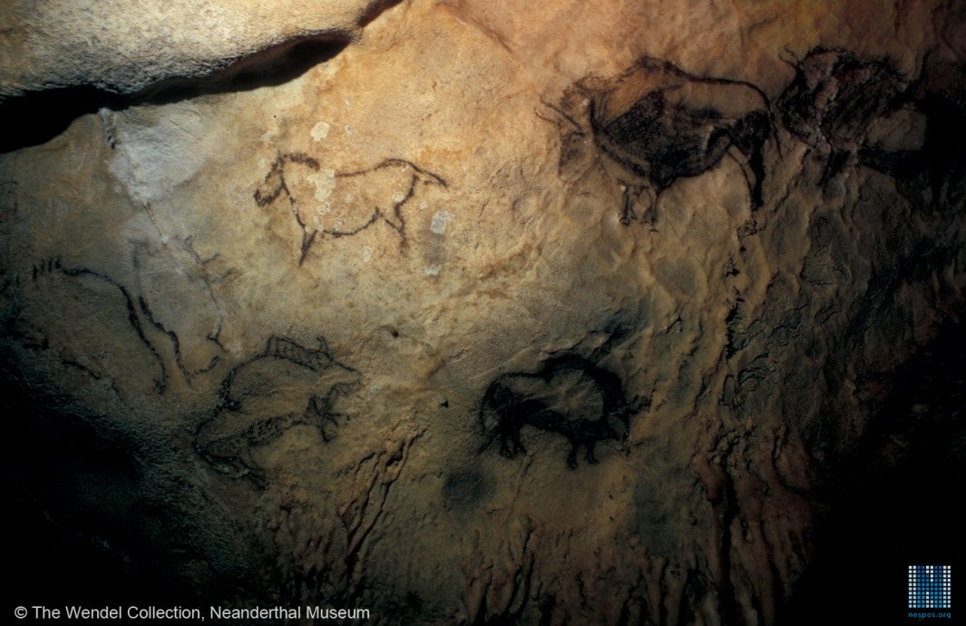 "Los rinocerontes vivieron en Urdaibai durante la última glaciación o edad de Hielo”, Pedro Castaños paleontólogo "Los rinocerontes vivieron en Urdaibai durante la última glaciación o edad de Hielo”, Pedro Castaños paleontólogo