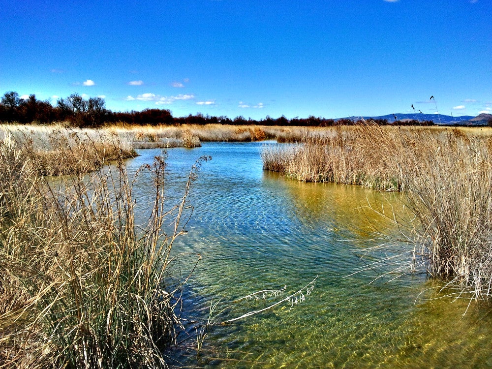 La situación de las Tablas de Daimiel es lamentable La situación de las Tablas de Daimiel es lamentable