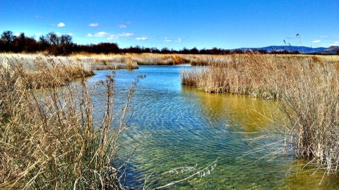 Las Tablas de Daimiel tan solo cuenta con 50 hect&aacute;reas encharcadas