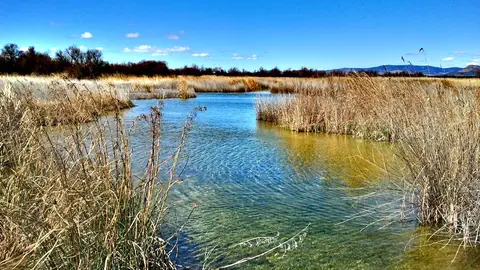 Las Tablas de Daimiel tan solo cuenta con 50 hectáreas encharcadas Las Tablas de Daimiel tan solo cuenta con 50 hectáreas encharcadas