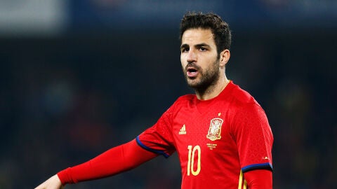 Cesc F&aacute;bregas con la Selecci&oacute;n de Espa&ntilde;a 