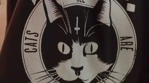 Bolso de gatitos Bolso de gatitos