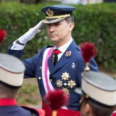 Felipe VI en el Día de las Fuerzas Armadas
