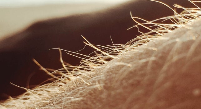 'Conversación orgásmica': vuelve el ciclo 'Ciencia de andar por calle' con una charla sobre el orgasmo 'Conversación orgásmica': vuelve el ciclo 'Ciencia de andar por calle' con una charla sobre el orgasmo