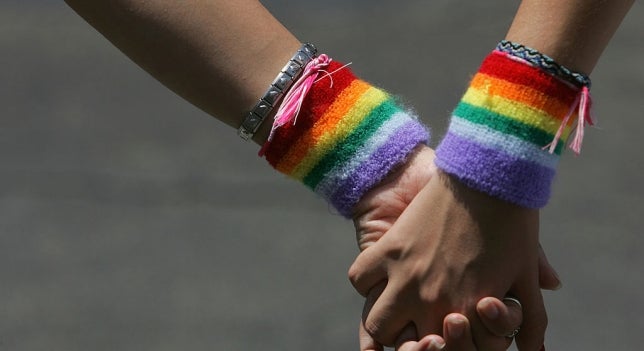 Un estudio demuestra que no hay un gen que determine la sexualidad Un estudio demuestra que no hay un gen que determine la sexualidad