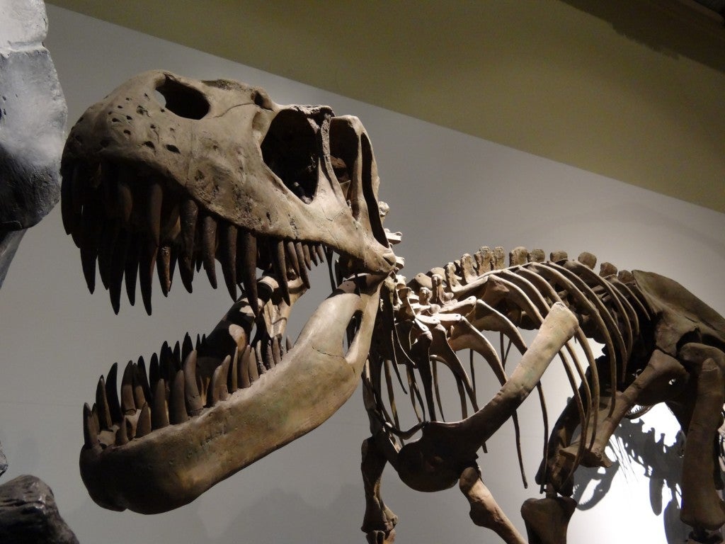 Ciencia y más: ¿Por qué los museos de ciencias son beneficiosos para las ciudades? Ciencia y más: ¿Por qué los museos de ciencias son beneficiosos para las ciudades?