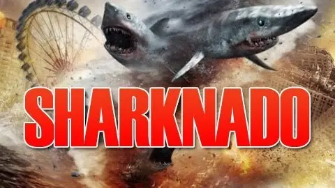 SHARK SHARK