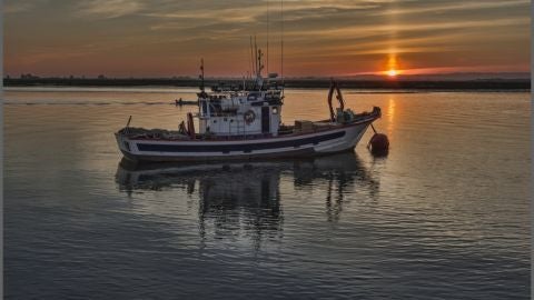Barco de pescadores