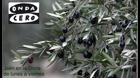 Jaén en la Onda Jaén en la Onda
