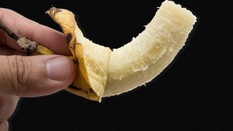 Pl&aacute;tano