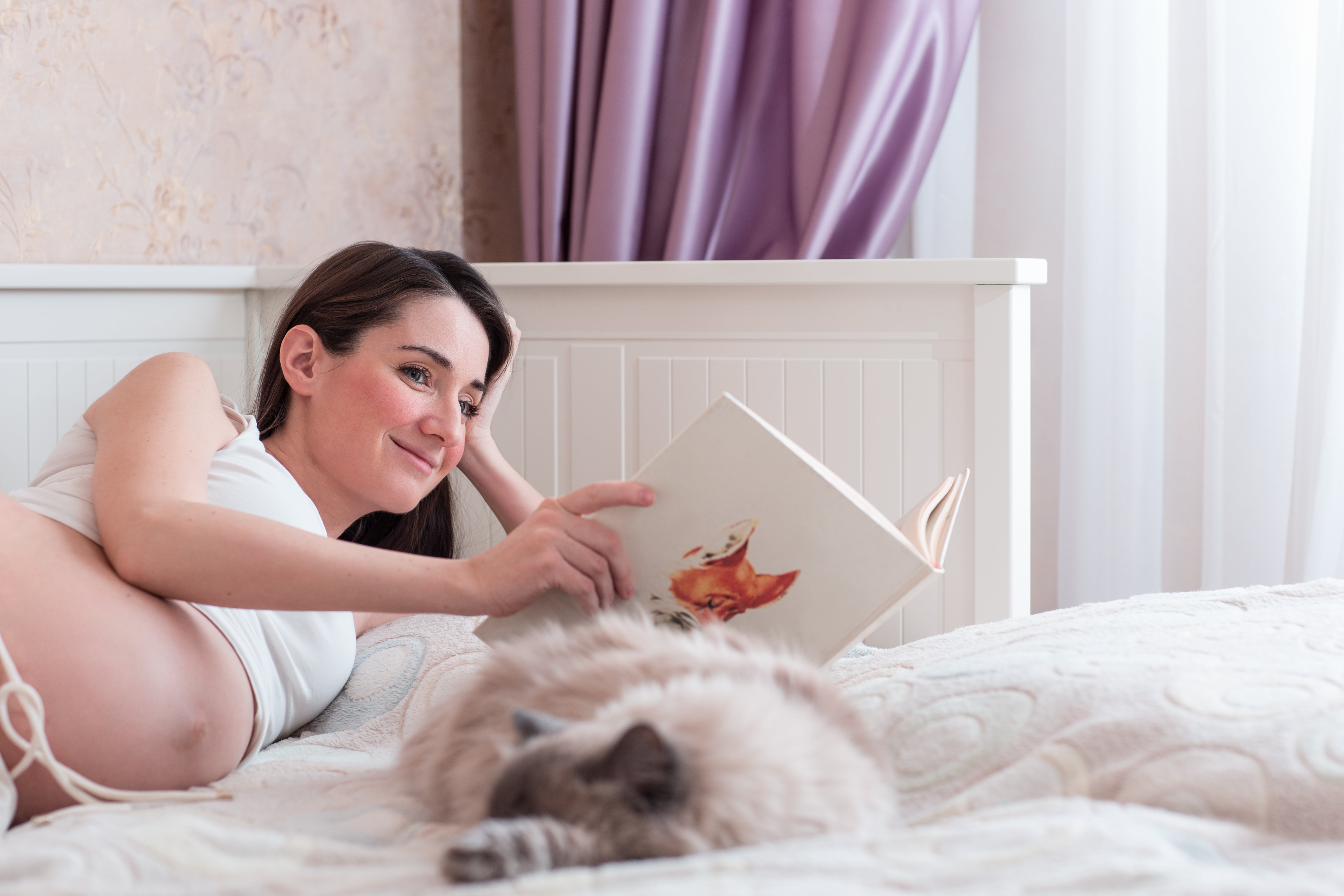 Todo sobre la toxoplasmosis en gatos: síntomas, tratamiento y contagio Todo sobre la toxoplasmosis en gatos: síntomas, tratamiento y contagio